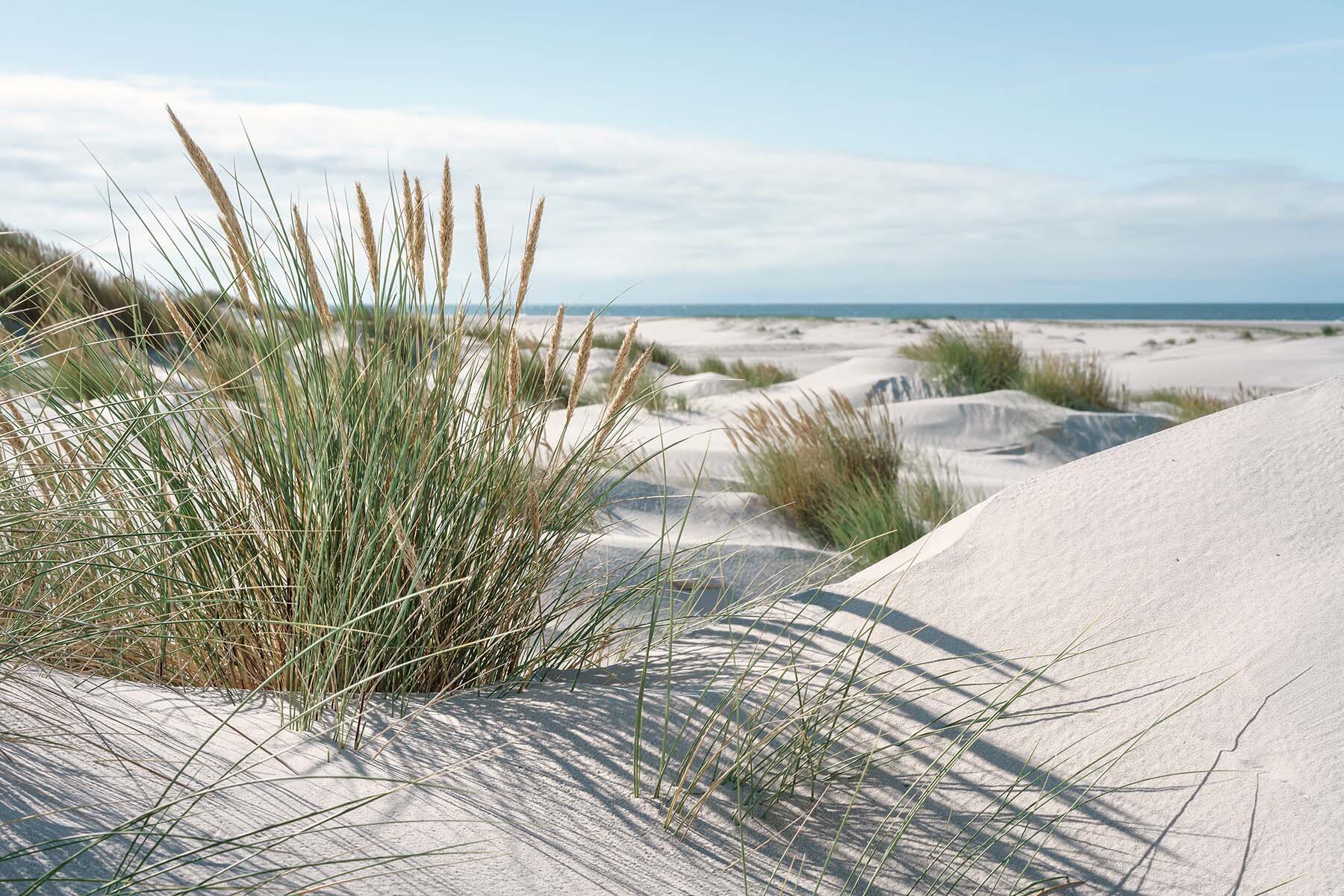 MAR_38_21 breiter Strand an der Nordsee